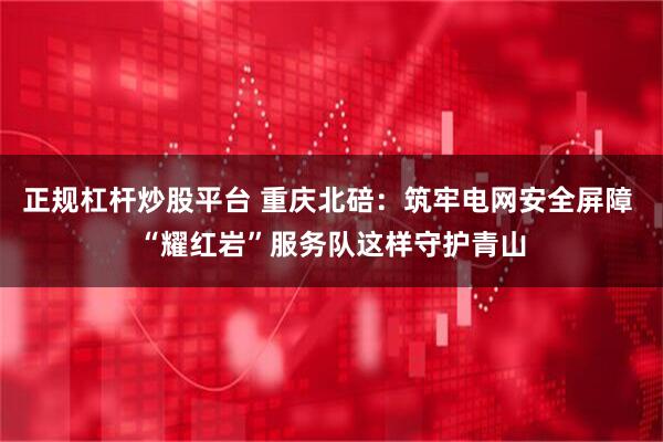 正规杠杆炒股平台 重庆北碚：筑牢电网安全屏障 “耀红岩”服务队这样守护青山