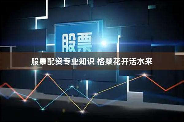 股票配资专业知识 格桑花开活水来