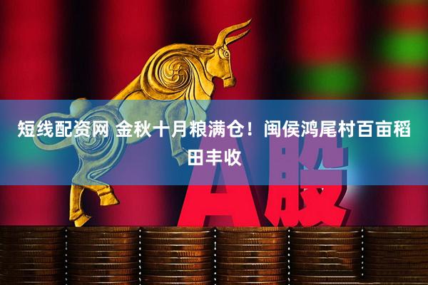 短线配资网 金秋十月粮满仓！闽侯鸿尾村百亩稻田丰收