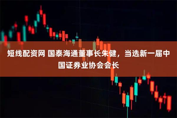 短线配资网 国泰海通董事长朱健,当选新一届中国证券业协会会长