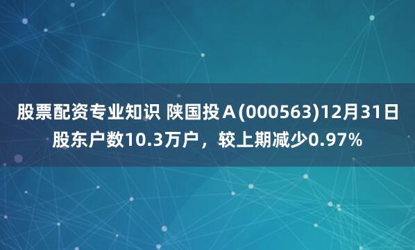 股票配资专业知识 陕国投A(000563)12月31日股东户数10.3万户,较上期减少0.97%