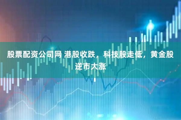 股票配资公司网 港股收跌，科技股走低，黄金股逆市大涨